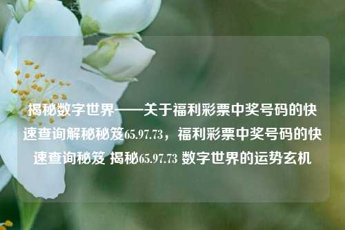 揭秘数字世界——关于福利彩票中奖号码的快速查询解秘秘笈65.97.73，福利彩票中奖号码的快速查询秘笈 揭秘65.97.73 数字世界的运势玄机，揭秘福利彩票中奖号码的快速查询解秘秘笈，65.97.73数字世界运势玄机-第1张图片-彩票资讯