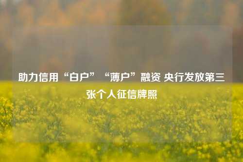 助力信用“白户”“薄户”融资 央行发放第三张个人征信牌照-第1张图片-彩票资讯