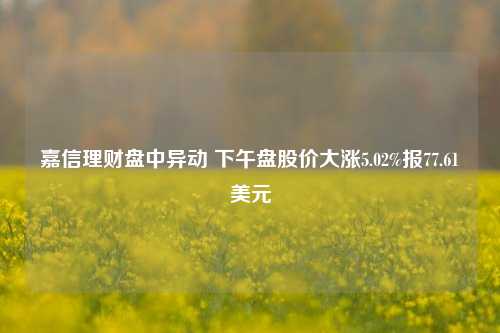 嘉信理财盘中异动 下午盘股价大涨5.02%报77.61美元-第1张图片-彩票资讯