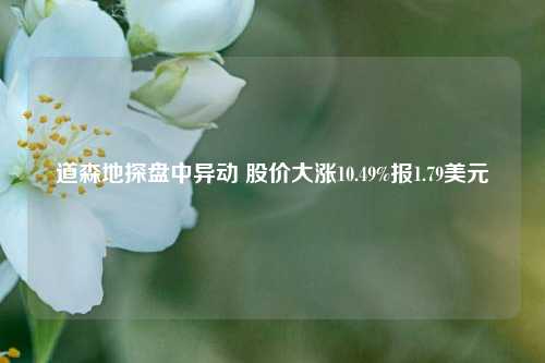 道森地探盘中异动 股价大涨10.49%报1.79美元-第1张图片-彩票资讯