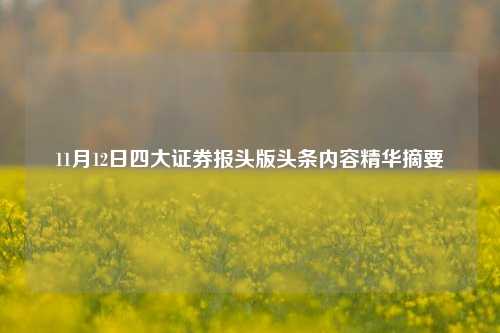 11月12日四大证券报头版头条内容精华摘要-第1张图片-彩票资讯