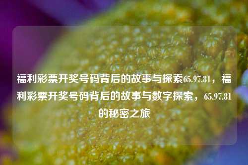 福利彩票开奖号码背后的故事与探索65.97.81，福利彩票开奖号码背后的故事与数字探索，65.97.81的秘密之旅，福利彩票开奖号码背后的故事与数字65.97.81的秘密之旅-第1张图片-彩票资讯