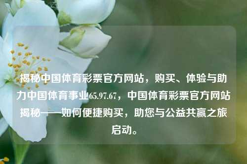 揭秘中国体育彩票官方网站，购买、体验与助力中国体育事业65.97.67，中国体育彩票官方网站揭秘——如何便捷购买，助您与公益共赢之旅启动。，揭秘中国体育彩票官方网站——便捷购买与公益共赢之旅启动指南-第1张图片-彩票资讯