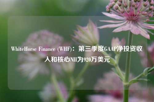 WhiteHorse Finance (WHF)：第三季度GAAP净投资收入和核心NII为920万美元-第1张图片-彩票资讯