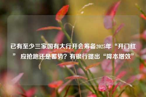 已有至少三家国有大行开会筹备2025年“开门红” 应抢跑还是蓄势？有银行提出“降本增效”-第1张图片-彩票资讯