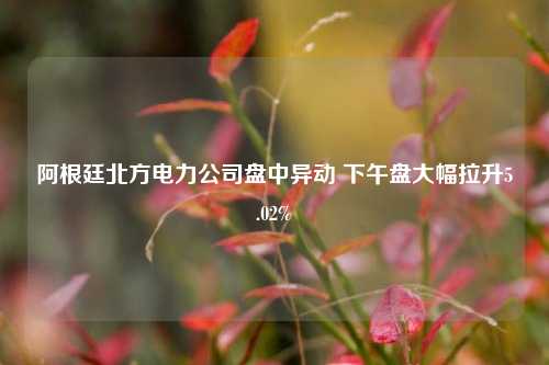 阿根廷北方电力公司盘中异动 下午盘大幅拉升5.02%-第1张图片-彩票资讯