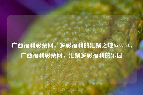 广西福利彩票网，多彩福利的汇聚之地65.97.74，广西福利彩票网，汇聚多彩福利的乐园，广西福利彩票网，汇聚多彩福利的乐园 65.97.74-第1张图片-彩票资讯