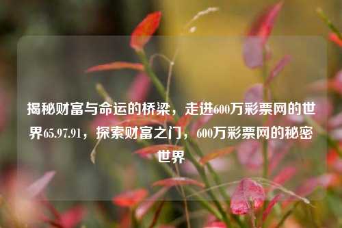 揭秘财富与命运的桥梁，走进600万彩票网的世界65.97.91，探索财富之门，600万彩票网的秘密世界，探索600万彩票网的奥秘世界，寻觅财富之门。-第1张图片-彩票资讯