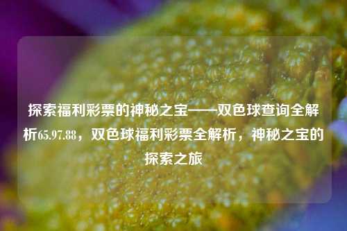 探索福利彩票的神秘之宝——双色球查询全解析65.97.88，双色球福利彩票全解析，神秘之宝的探索之旅，双色球福利彩票全解析，神秘之宝的探索之旅-第1张图片-彩票资讯