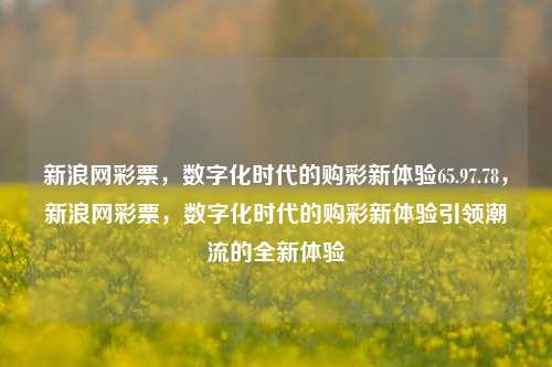 新浪网彩票，数字化时代的购彩新体验65.97.78，新浪网彩票，数字化时代的购彩新体验引领潮流的全新体验，新浪网彩票，数字化时代引领购彩新潮流的体验-第1张图片-彩票资讯