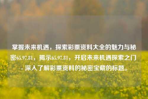 掌握未来机遇，探索彩票资料大全的魅力与秘密65.97.81，揭示65.97.81，开启未来机遇探索之门 - 深入了解彩票资料的秘密宝藏的标题。，解锁未来机遇之钥，深入探索65.97.81彩票资料大全的秘密宝藏-第1张图片-彩票资讯