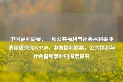 中国福利彩票，一项公共福利与社会福利事业的深度探究65.97.89，中国福利彩票，公共福利与社会福利事业的深度探究，中国福利彩票，公共福利与社会福利事业的深度探索与实践-第1张图片-彩票资讯