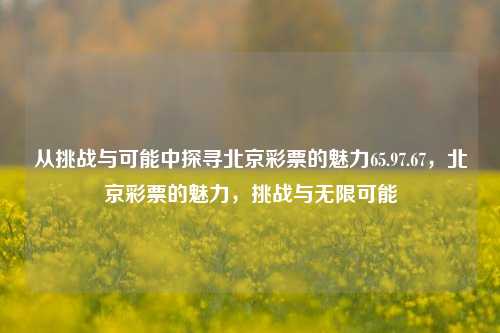 从挑战与可能中探寻北京彩票的魅力65.97.67，北京彩票的魅力，挑战与无限可能，北京彩票的魅力，挑战与无限可能探索-第1张图片-彩票资讯