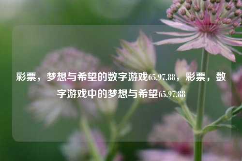 彩票，梦想与希望的数字游戏65.97.88，彩票，数字游戏中的梦想与希望65.97.88，彩票，65.97.88梦想与希望的数字之舞-第1张图片-彩票资讯