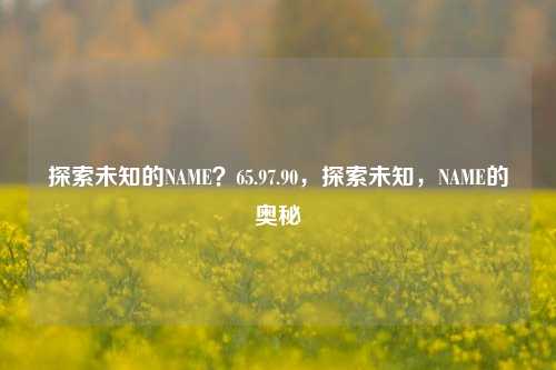 探索未知的NAME？65.97.90，探索未知，NAME的奥秘，探索未知的神秘之域，NAME 65.97.90 揭秘之旅-第1张图片-彩票资讯