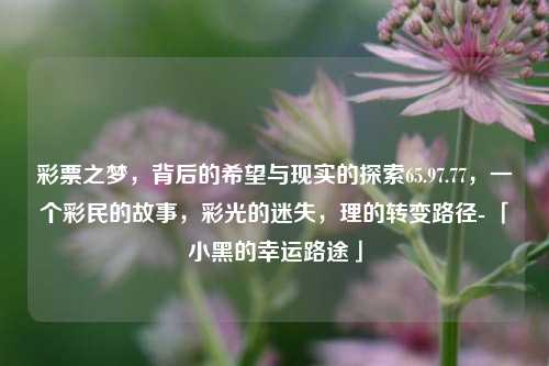 彩票之梦，背后的希望与现实的探索65.97.77，一个彩民的故事，彩光的迷失，理的转变路径- 「小黑的幸运路途」，「小黑的幸运路途，彩票之梦与现实的探索」-第1张图片-彩票资讯