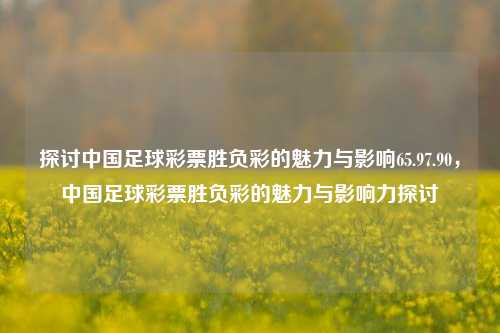 探讨中国足球彩票胜负彩的魅力与影响65.97.90，中国足球彩票胜负彩的魅力与影响力探讨-第1张图片-彩票资讯