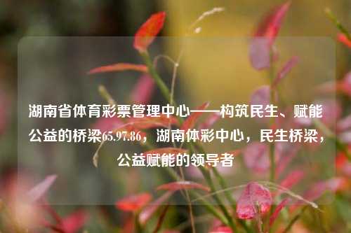 湖南省体育彩票管理中心——构筑民生、赋能公益的桥梁65.97.86，湖南体彩中心，民生桥梁，公益赋能的领导者，‘构筑民生新局·让体育彩票传递正能量’——湖南省体育彩票管理中心公益赋能的领航者，以上是我为您创建的标题，该标题力求突显湖南体彩中心所追求的目标——用体育彩票打造一座充满正能量与爱的民生新局。它明确了组织的重要功能，不仅仅是运行业务与管理工作，更致力于将民生和公益有机融合，真正做到赋能于人，使每个人都能在公益中收获喜悦和力量。，希望能帮到您~。如果您对这份稿子感兴趣可以留一些指导细节内容-第1张图片-彩票资讯