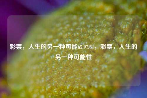 彩票，人生的另一种可能65.97.81，彩票，人生的另一种可能性，彩票，人生的另一种可能性65.97.81-第1张图片-彩票资讯