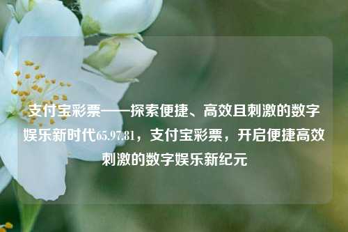 支付宝彩票——探索便捷、高效且刺激的数字娱乐新时代65.97.81，支付宝彩票，开启便捷高效刺激的数字娱乐新纪元，探索数字化时代娱乐之潮——支付宝彩票畅享高效刺激的新纪元-第1张图片-彩票资讯