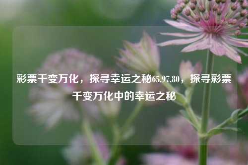 彩票千变万化，探寻幸运之秘65.97.80，探寻彩票千变万化中的幸运之秘，探寻彩票千变万化中的幸运之秘，65.97.80的奥秘-第1张图片-彩票资讯