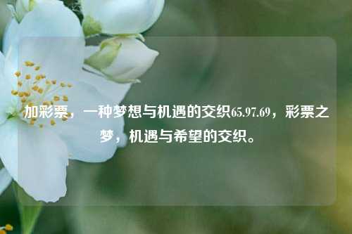 加彩票，一种梦想与机遇的交织65.97.69，彩票之梦，机遇与希望的交织。，彩票之梦，机遇与希望的交织65.97.69-第1张图片-彩票资讯