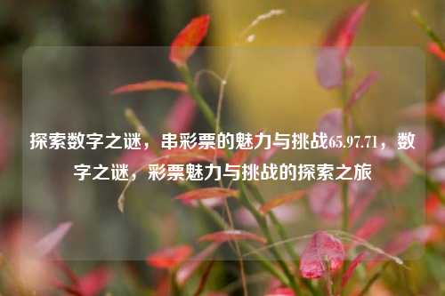 探索数字之谜，串彩票的魅力与挑战65.97.71，数字之谜，彩票魅力与挑战的探索之旅，数字之谜与彩票魅力，挑战之旅-第1张图片-彩票资讯