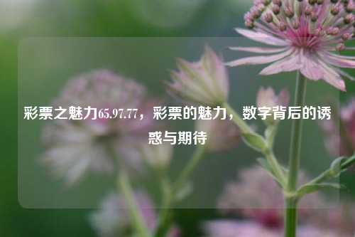 彩票之魅力65.97.77，彩票的魅力，数字背后的诱惑与期待，彩票数字背后的诱惑与期待，探寻彩票之魅力65.97.77的奥秘-第1张图片-彩票资讯