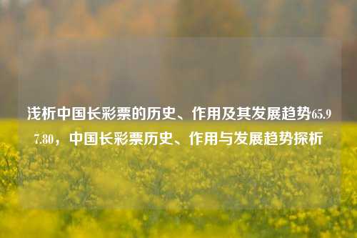 浅析中国长彩票的历史、作用及其发展趋势65.97.80，中国长彩票历史、作用与发展趋势探析，中国长彩票历史、作用与发展趋势探析-第1张图片-彩票资讯