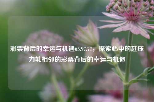 彩票背后的幸运与机遇65.97.77，探索心中的赶压力轧相邻的彩票背后的幸运与机遇，彩票背后的幸运与机遇，探索内心的压力与期望-第1张图片-彩票资讯