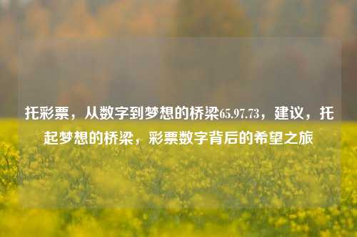 托彩票，从数字到梦想的桥梁65.97.73，建议，托起梦想的桥梁，彩票数字背后的希望之旅，彩票托起的数字梦想之桥-第1张图片-彩票资讯