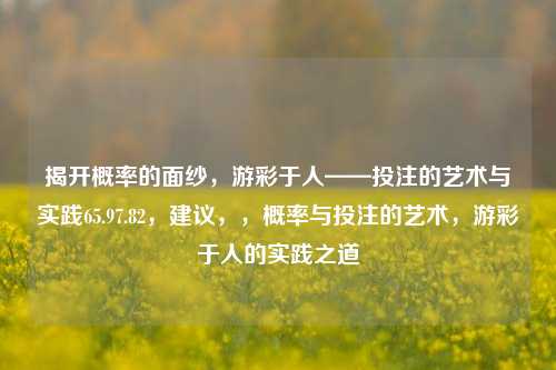 揭开概率的面纱，游彩于人——投注的艺术与实践65.97.82，建议，，概率与投注的艺术，游彩于人的实践之道，概率与投注的艺术，游彩于人的实践之道-第1张图片-彩票资讯