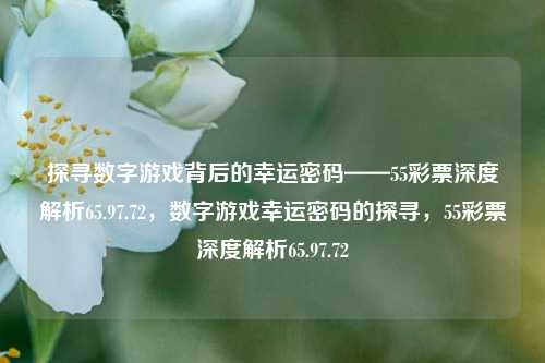 探寻数字游戏背后的幸运密码——55彩票深度解析65.97.72，数字游戏幸运密码的探寻，55彩票深度解析65.97.72，揭秘数字游戏幸运密码——55彩票深度解析65.97.72的探索之旅-第1张图片-彩票资讯