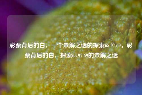 彩票背后的白，一个未解之谜的探索65.97.69，彩票背后的白，探索65.97.69的未解之谜，彩票背后的神秘白，探索65.97.69的未解之谜-第1张图片-彩票资讯