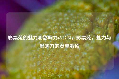 彩票苑的魅力和影响力65.97.68，彩票苑，魅力与影响力的双重解读，彩票苑，魅力的力量与影响力的双重解读-第1张图片-彩票资讯