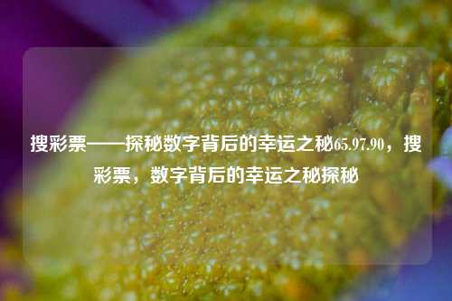 搜彩票——探秘数字背后的幸运之秘65.97.90，搜彩票，数字背后的幸运之秘探秘，搜彩票，解锁数字背后的幸运之秘-第1张图片-彩票资讯