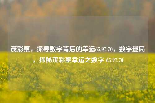 茂彩票，探寻数字背后的幸运65.97.70，数字迷局，探秘茂彩票幸运之数字 65.97.70，揭秘茂彩票，数字65.97.70背后的幸运迷局-第1张图片-彩票资讯