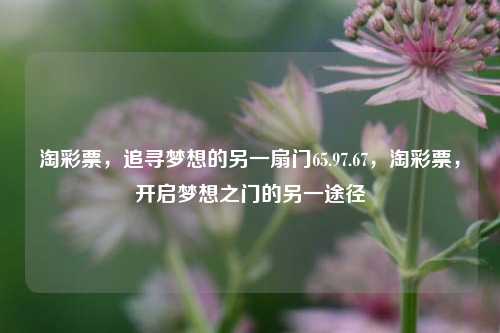 淘彩票，追寻梦想的另一扇门65.97.67，淘彩票，开启梦想之门的另一途径，淘彩票，梦想启航的另一扇门-第1张图片-彩票资讯