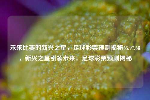 未来比赛的新兴之星，足球彩票预测揭秘65.97.68，新兴之星引领未来，足球彩票预测揭秘，新兴之星引领未来，足球彩票预测揭秘65.97.68-第1张图片-彩票资讯