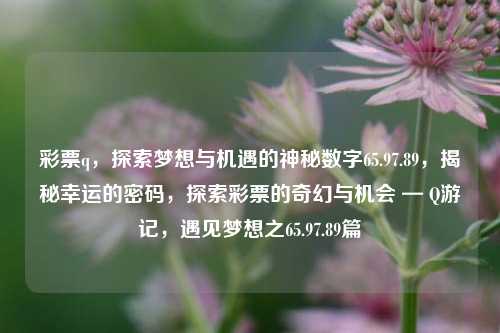 彩票q，探索梦想与机遇的神秘数字65.97.89，揭秘幸运的密码，探索彩票的奇幻与机会 — Q游记，遇见梦想之65.97.89篇，65.97.89—彩梦中触手可及的机遇探索录-第1张图片-彩票资讯