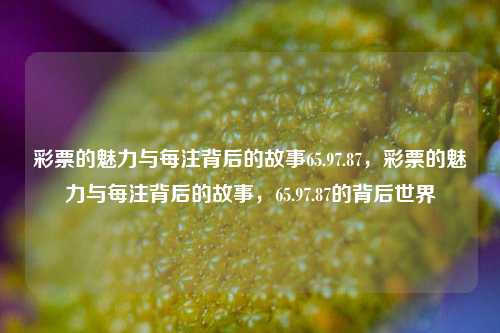 彩票的魅力与每注背后的故事65.97.87，彩票的魅力与每注背后的故事，65.97.87的背后世界，彩票的魅力与每注背后的故事，探索65.97.87的背后世界-第1张图片-彩票资讯