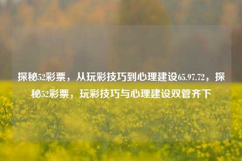 探秘52彩票，从玩彩技巧到心理建设65.97.72，探秘52彩票，玩彩技巧与心理建设双管齐下，探秘52彩票，玩彩技巧与心理建设双管齐下-第1张图片-彩票资讯