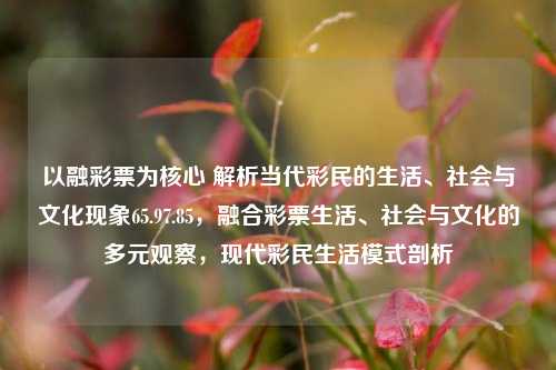 以融彩票为核心 解析当代彩民的生活、社会与文化现象65.97.85，融合彩票生活、社会与文化的多元观察，现代彩民生活模式剖析，解析融彩核心，现代彩民的生环境模式和社会文化透视-第1张图片-彩票资讯