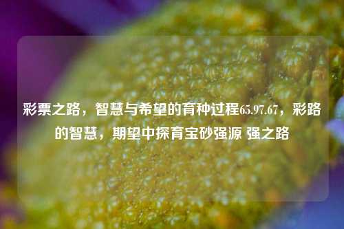 彩票之路，智慧与希望的育种过程65.97.67，彩路的智慧，期望中探育宝砂强源 强之路，建议，彩票之路——探索智慧与期望中培养强大资源的历程67强。-第1张图片-彩票资讯