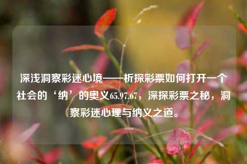 深浅洞察彩迷心境——析探彩票如何打开一个社会的‘纳’的奥义65.97.67，深探彩票之秘，洞察彩迷心理与纳义之道。，彩票背后的纳义之道，深探彩迷心理与奥秘-第1张图片-彩票资讯