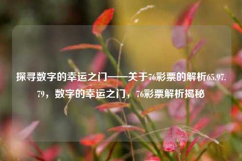 探寻数字的幸运之门——关于76彩票的解析65.97.79，数字的幸运之门，76彩票解析揭秘，76彩票解析揭秘，探寻数字的幸运之门-第1张图片-彩票资讯