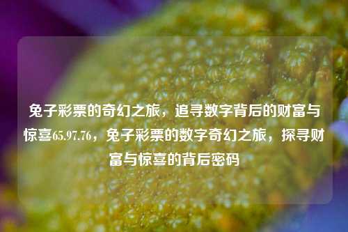 兔子彩票的奇幻之旅，追寻数字背后的财富与惊喜65.97.76，兔子彩票的数字奇幻之旅，探寻财富与惊喜的背后密码，兔子彩票的数字奇幻之旅，探寻财富与惊喜的密码-第1张图片-彩票资讯