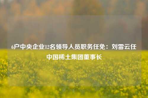 6户中央企业12名领导人员职务任免：刘雷云任中国稀土集团董事长-第1张图片-彩票资讯