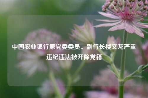 中国农业银行原党委委员、副行长楼文龙严重违纪违法被开除党籍-第1张图片-彩票资讯