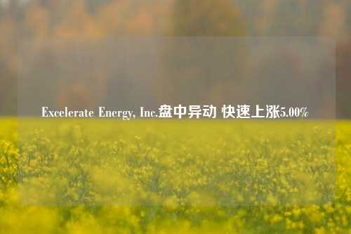 Excelerate Energy, Inc.盘中异动 快速上涨5.00%-第1张图片-彩票资讯